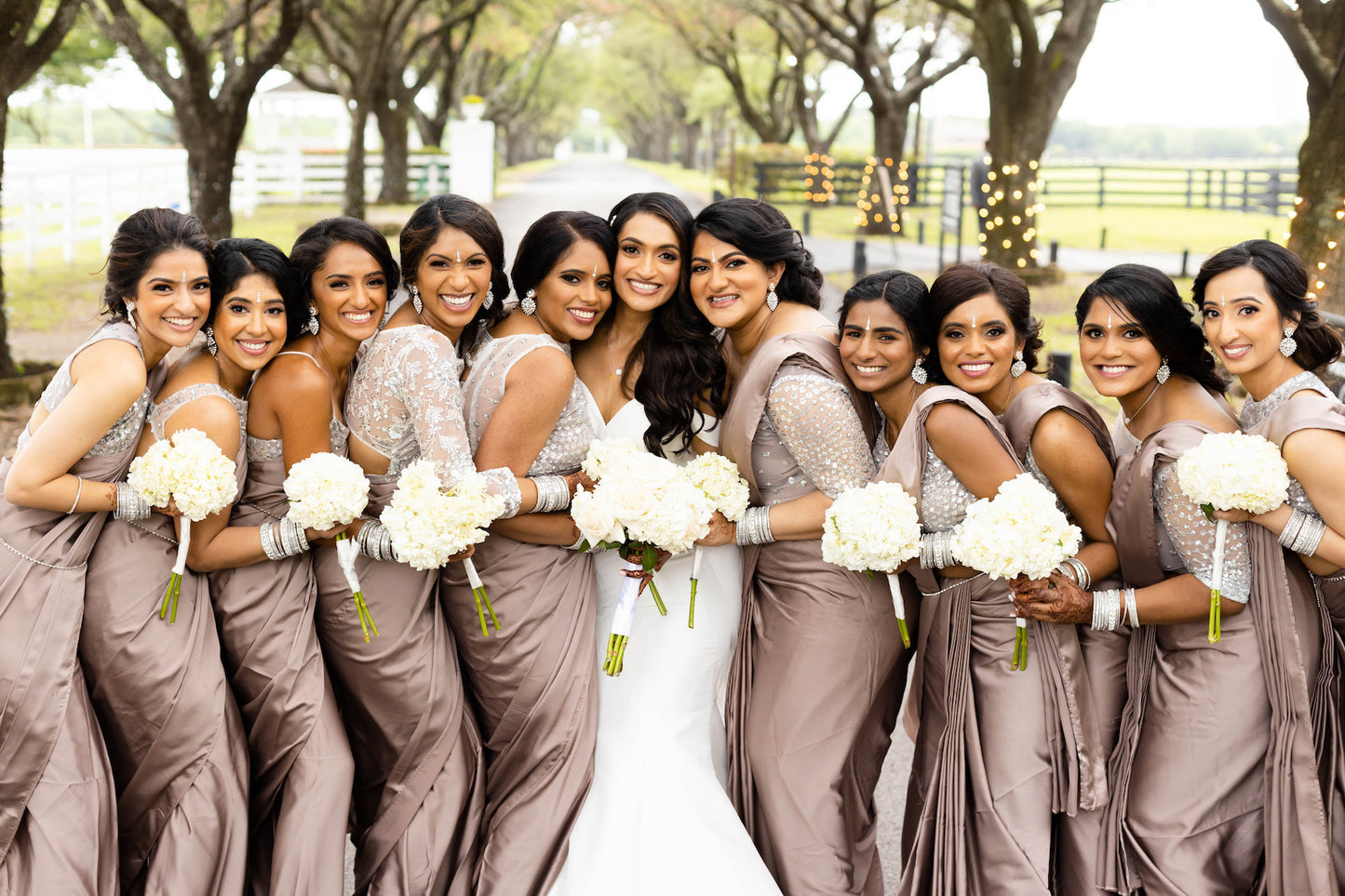 Mauve Luxe Saree